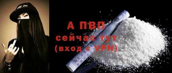 соль ск Белокуриха