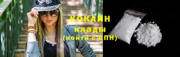 соль ск Белокуриха