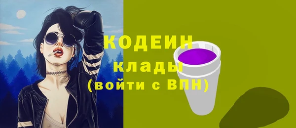соль ск Белокуриха
