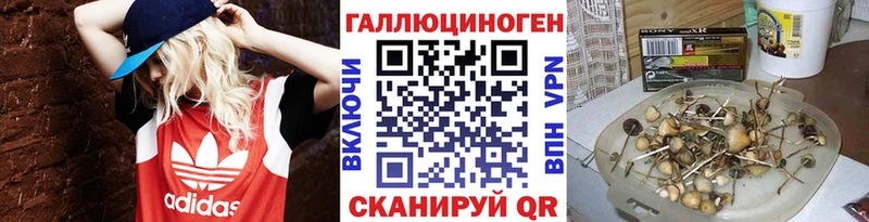 купить наркоту  Красноуфимск  Галлюциногенные грибы мухоморы 